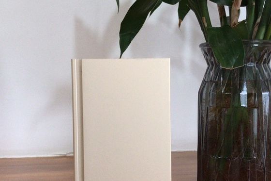 สายการผลิต Manunal Oxidation ที่มีศักยภาพการจัดส่งรายเดือน 900 ตัน